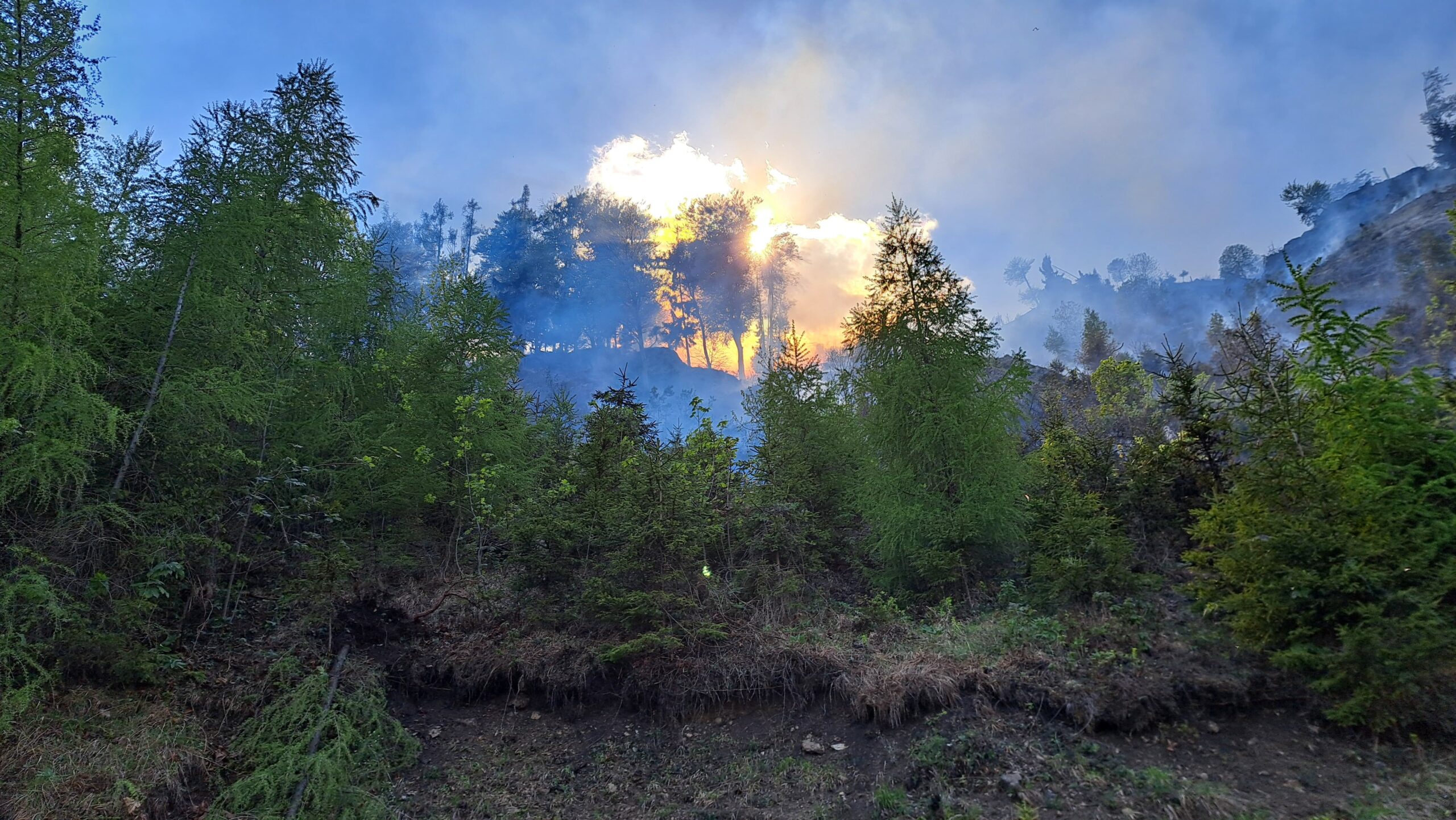 Überörtlicher Waldbrandeinsatz in Eisbach-Rein