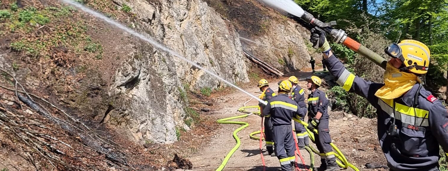 Überörtlicher Waldbrandeinsatz in Eisbach-Rein